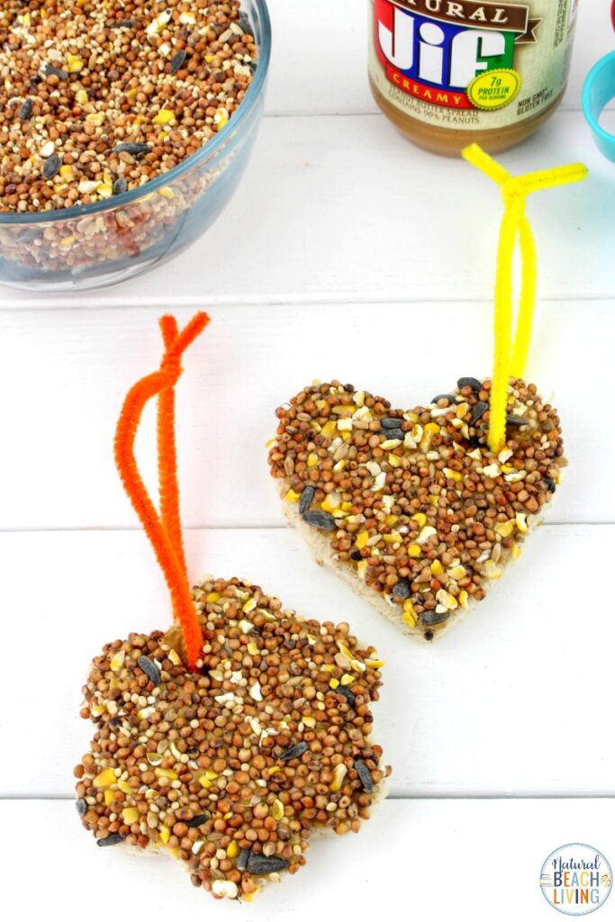The BEST Homemade Bird Feeders and Birdseed Ornaments, Easy Homemade Bird Seed Ornaments Recipe, These DIY Birdseed Ornaments are a perfect nature project to do with kids, Bird Feeders for Kids to Make, Backyard Birds love Recycled Bird Feeders and Bird Treats, Plus, Bird Crafts for Kids, Bird Theme Printables and more