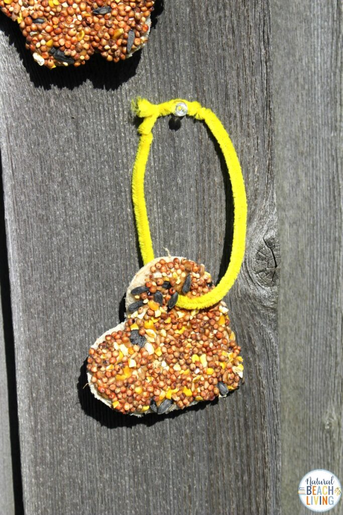 These peanut butter bird treats are so much fun to make. Plus, the birds love them! With just 3 simple ingredients needed, these are so easy to make! The best thing about these bird seed ornaments is it's kid-friendly.