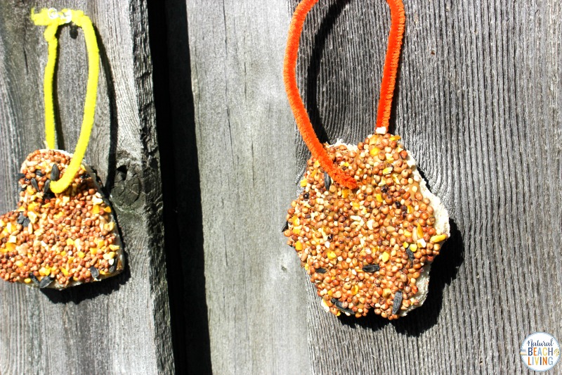 These peanut butter bird treats are so much fun to make. Plus, the birds love them! With just 3 simple ingredients needed, these are so easy to make! The best thing about these bird seed ornaments is it's kid-friendly.