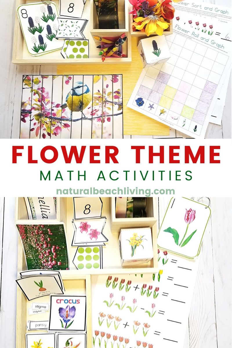 Flower Theme Math Activities for Preschool and Kindergarten