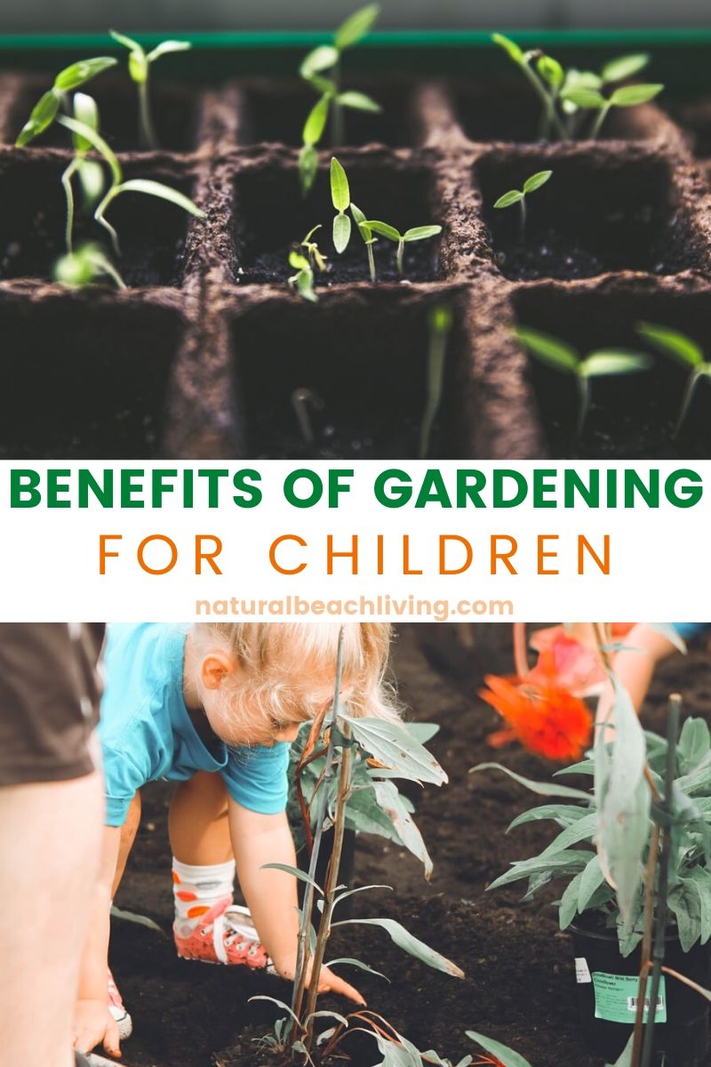 8+ Things Your Child Can Learn in the Garden