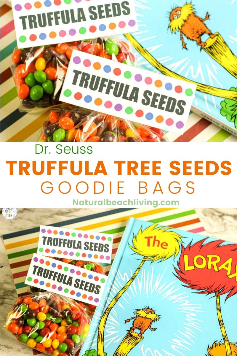 The Lorax Goodie Bag Ideas with Free Truffula Tree Seeds Printable ...