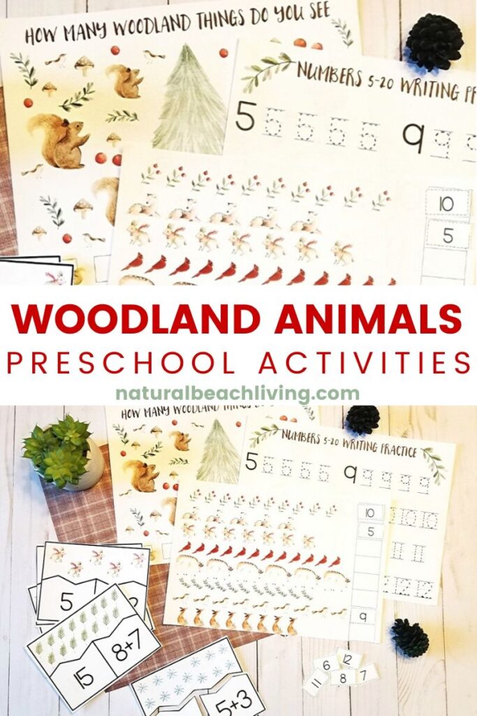 These Woodland Animals Math Activities are great for Preschool math as well as kindergarten too. If you are looking for Montessori Math, Forest Theme Math Activities for Preschoolers and Math Activities for Kindergarten you'll find lots of Woodland Animals Printables and Winter Preschool Math Here. 