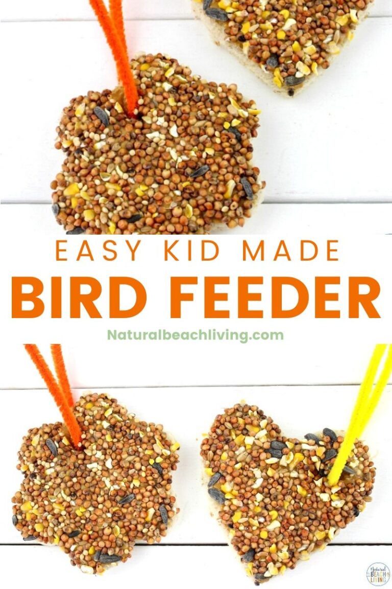 Easy Peanut Butter Bird Treats Kids Can Make
