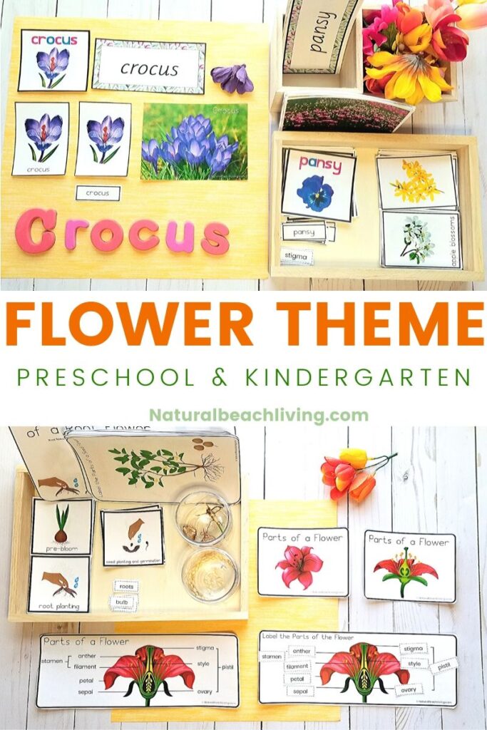 This is The Most Amazing Montessori inspired Flower Theme for Preschool, Kindergarten, and elementary. Flower Activities are perfect for Spring and summer learning. Use these as centers, or for a Preschool Flower Unit Study, Montessori activities for Spring, or even Flower Science Activities your Children will love these fun hands on activities.