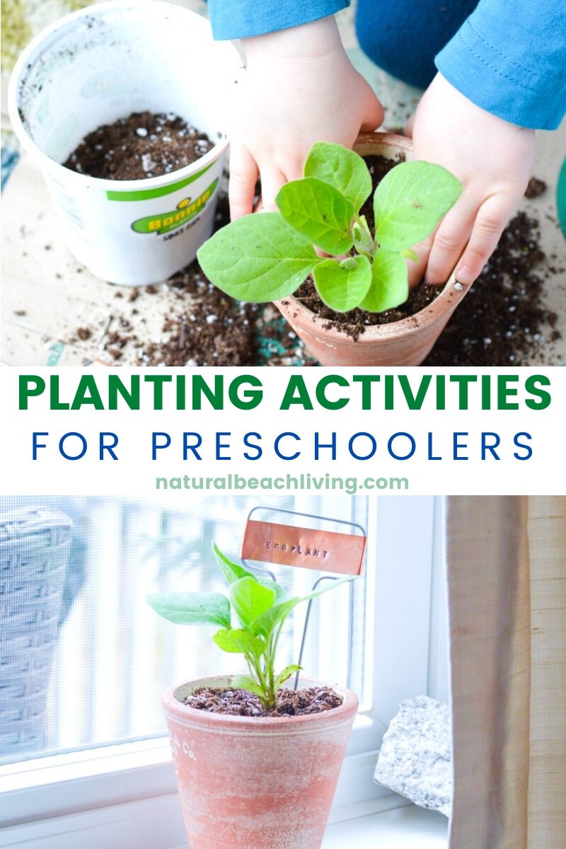 Planting Activities for Preschoolers and DIY Garden Markers