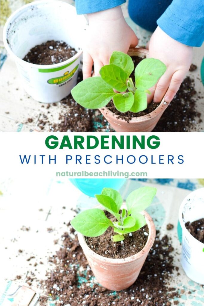 Preschoolers are at such a fun age for showing how to plant seeds and introducing plants and flowers into your child's life. Gardening with Preschoolers and Planting Crafts are a great way to start the spring season with hands on learning and nature. Start with these Planting Activities for Preschoolers and Planting seeds crafts for preschoolers. They are Perfect! 
