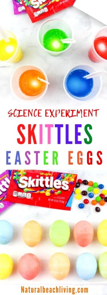Are you ready to see How to Dye Easter Eggs with Skittles? If so, you're in the right place! This simple Easter Science Experiment will show you exactly how! Candy Science is so fun for kids of all ages. Try this Easy Egg Decorating Ideas with your kids.