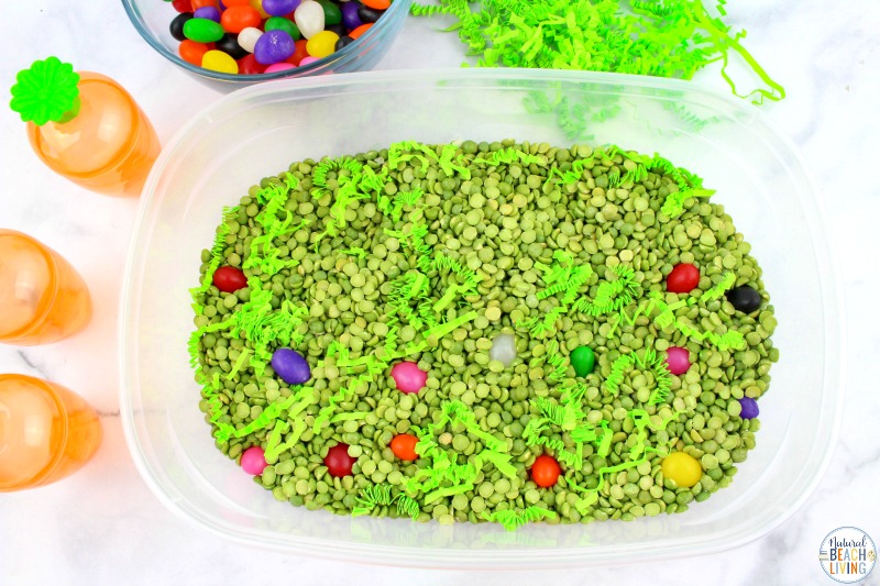 This Easter Sensory Bin is a fun way to teach your toddler and preschooler counting and exploring! This Jelly Beans Sensory Bin not only helps your child work on their counting skills but it also is a really fun Spring activity