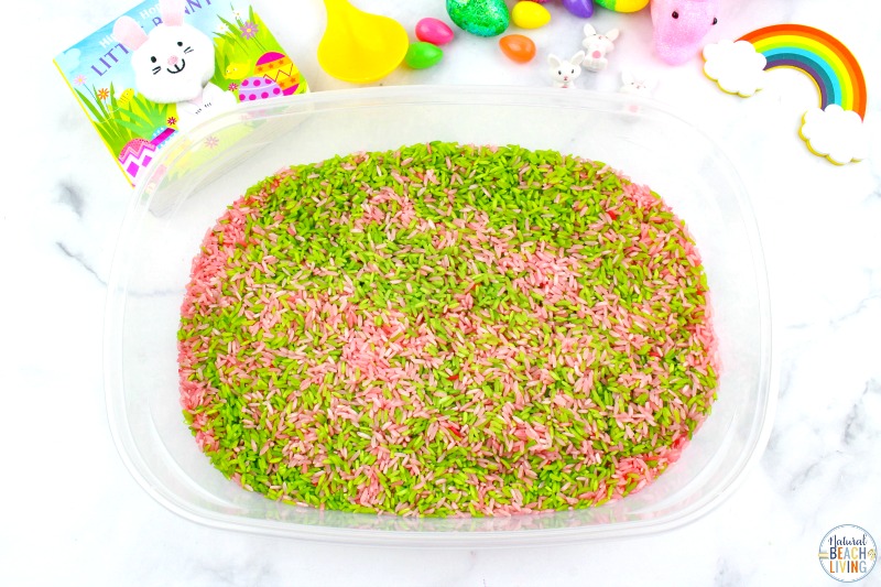 This Bunny Sensory Bin is a fun Spring Sensory Activity for toddlers and preschoolers. Gather up a few simple supplies for cute Spring Book Activities with Sensory play and your kids will be exploring and learning all season long.   