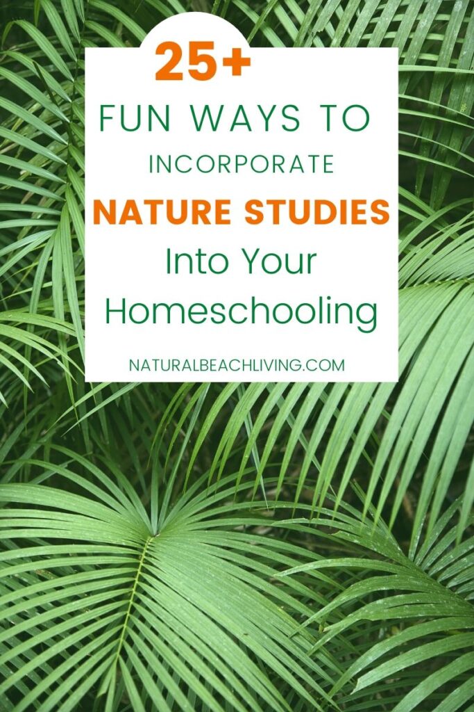 How to Incorporate Nature Studies Into Your Homeschooling All Year Long, Here are 12 Months of Nature Study Ideas, Nature Activities for kids, Spring Themes, Winter Themes, Fall Themes, and Summer Themes for simple educational ideas kids love. You'll Find Animal activities, Science for Kids, Galaxy, Ocean, Flowers, and so much more. 