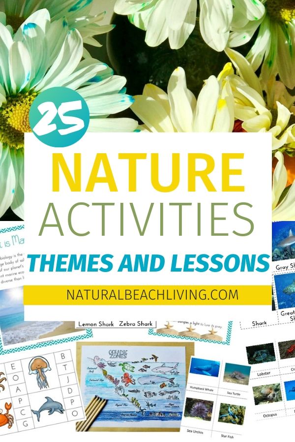 Fun Ways to Incorporate Nature Studies Into Your Homeschooling All Year Long