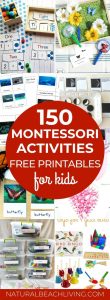 200+ Amazing Montessori Activities and Free Printables - Natural Beach ...