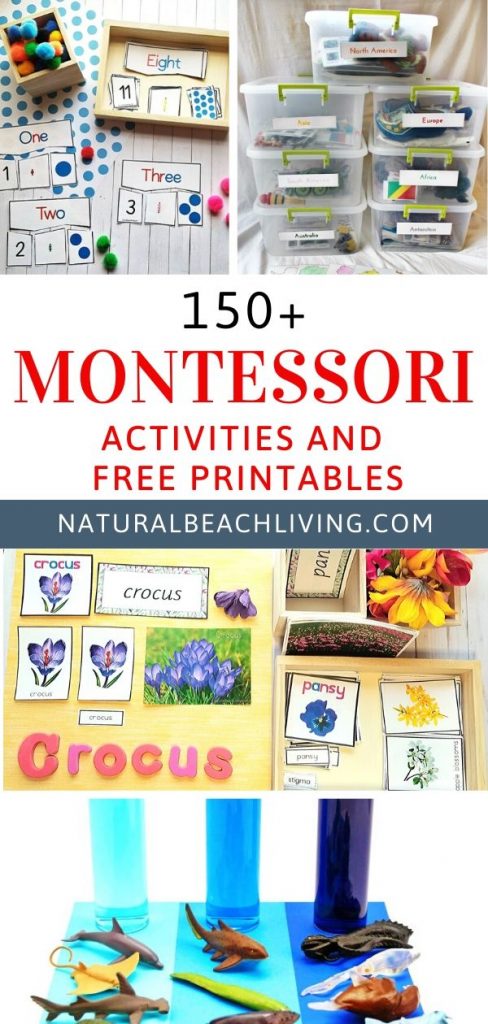 Montessori Activities and Free Montessori Printables