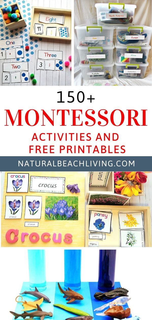 200+ Amazing Montessori Activities and Free Printables