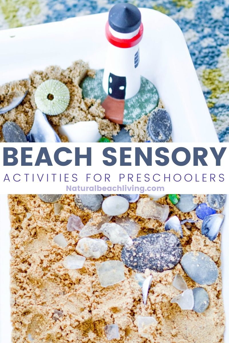 Beach Sensory Bin – Ocean Themed Sensory Activities