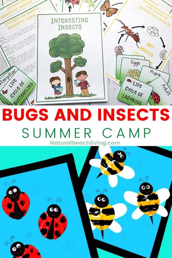 Bugs and Insects Summer Camp Theme Ideas - Natural Beach Living