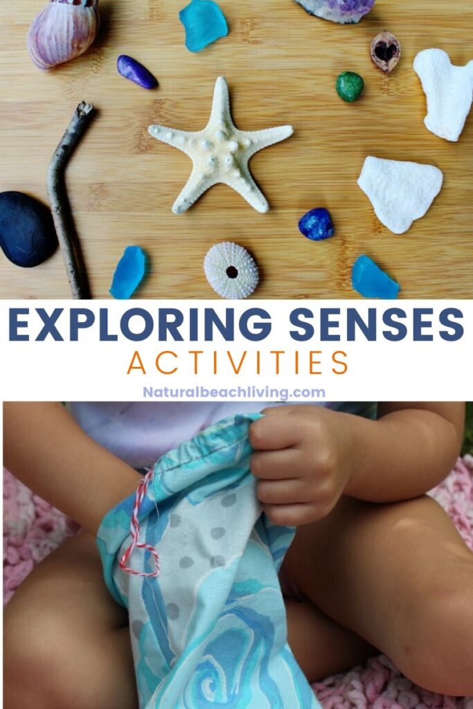 The Best Ways for Exploring Senses in Nature, 5 senses with nature walks, scavenger hunts and hands on activities. Montessori Sensory with Natural Materials and an ocean theme, A DIY Mystery Bag for Kids for Tactile Sense that is Perfect for Special needs and Sensory Processing Disorder