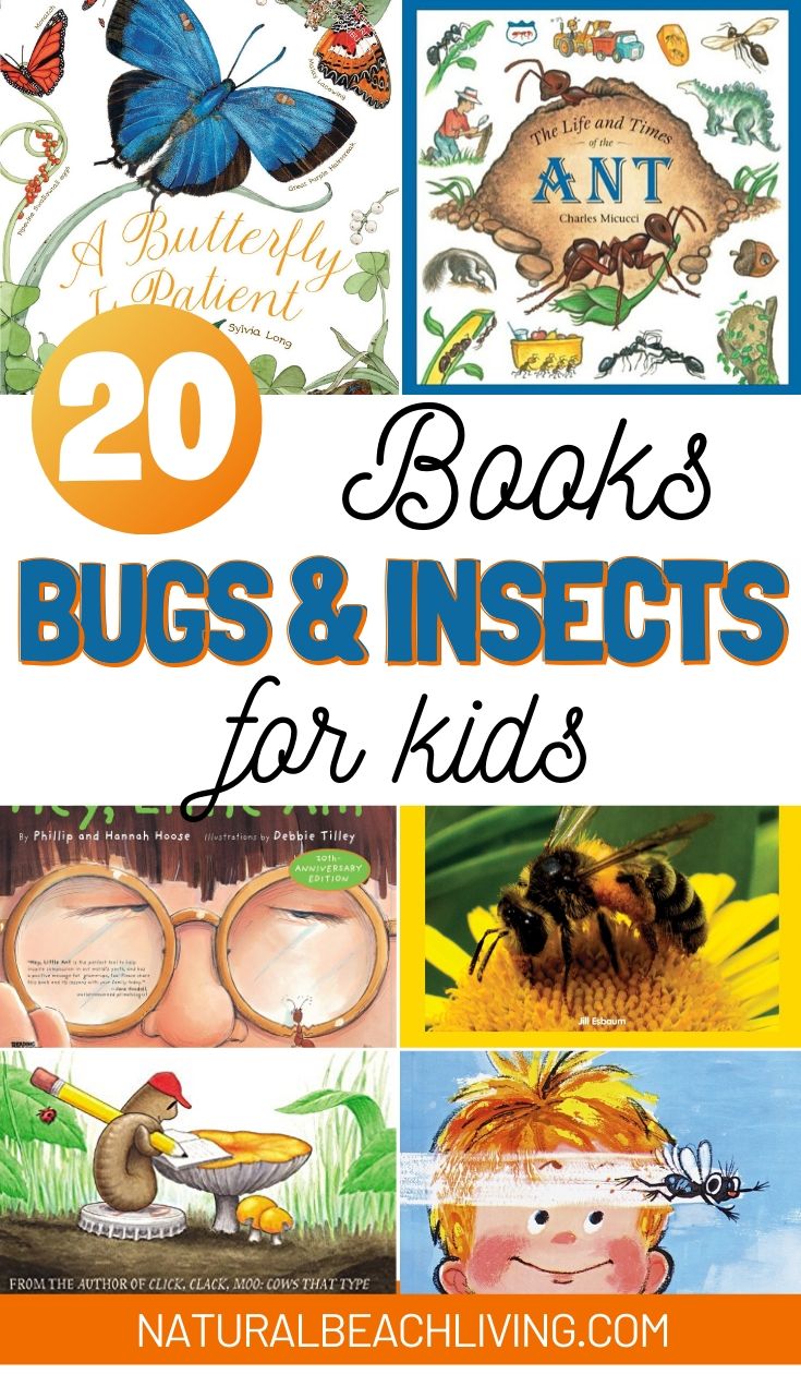 20 Bug and Insect Books for Kids