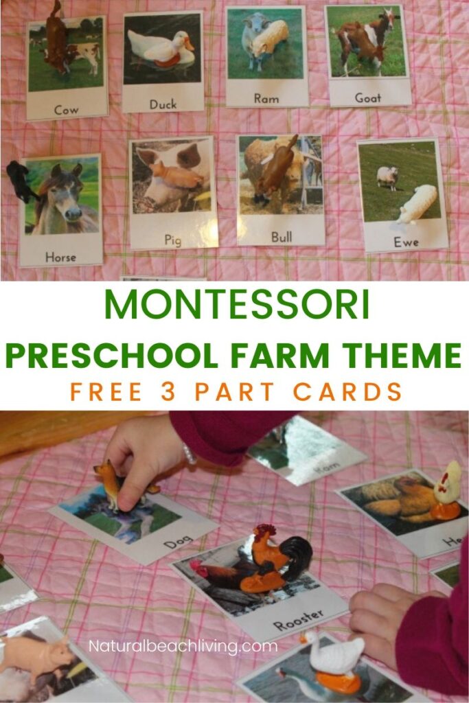 Preschool Farm Activities, These Montessori Farm Activities and Free Printables are sure to engage and excite your Preschoolers. Add free Montessori 3 part cards to your learning for a Toddler or preschool Farm Theme, plus find Farm books for kids and great hands-on learning activities for preschoolers