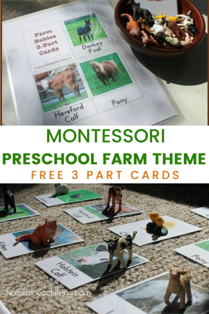 Preschool Farm Activities, These Montessori Farm Activities and Free Printables are sure to engage and excite your Preschoolers. Add free Montessori 3 part cards to your learning for a Toddler or preschool Farm Theme, plus find Farm books for kids and great hands-on learning activities for preschoolers