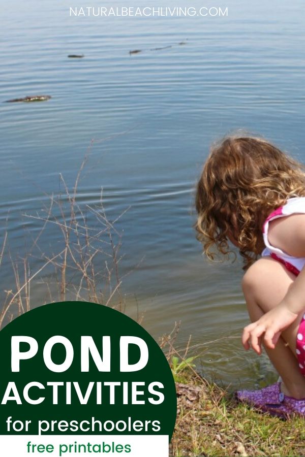 Pond Theme Activities for Preschoolers, Preschool STEM activities with Free Printables, Pond coloring pages for Kids and Free Preschool skills Printables, Montessori Pond Theme Activities, Natural Learning, outdoor learning with Science and Math activities for Kids