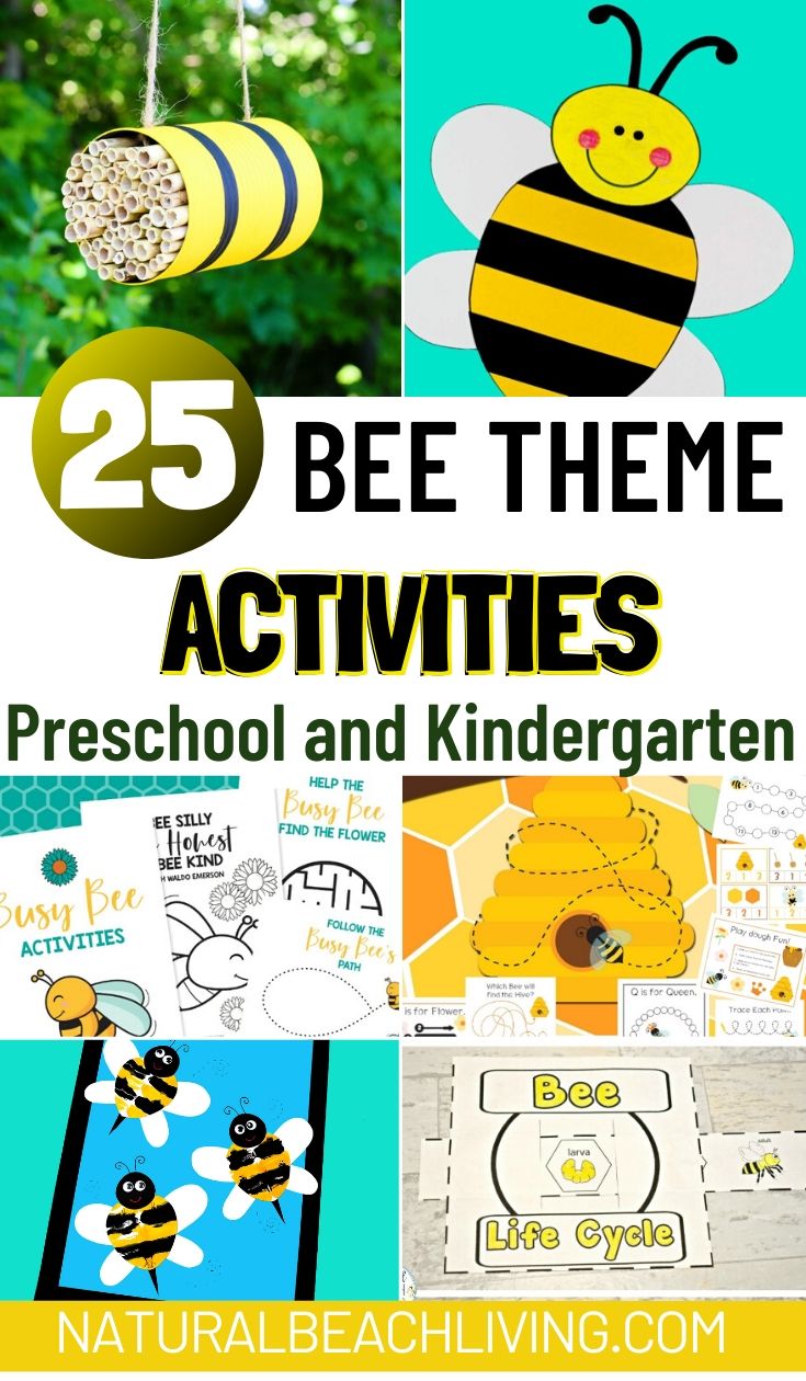 Bee Activities to Teach the Life Cycle of a Bee for Preschoolers and Kids of All Ages