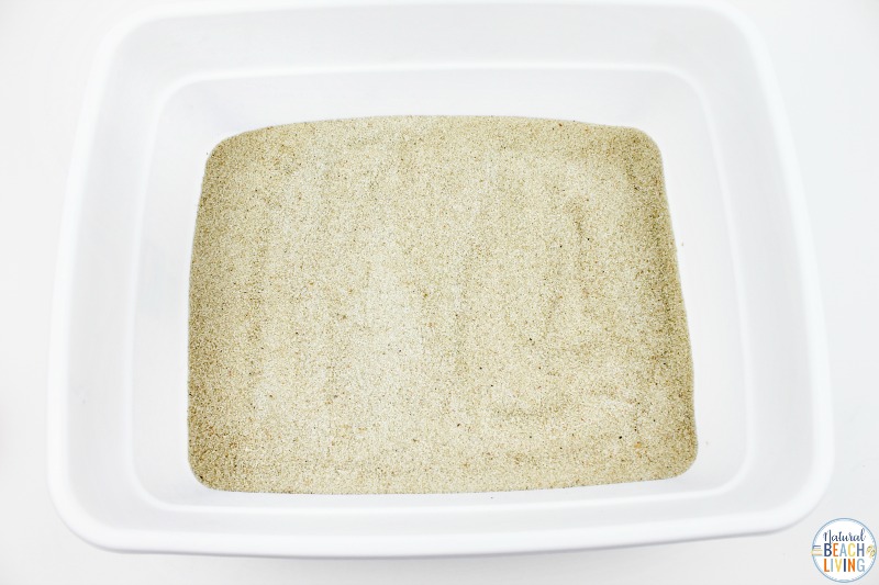 The kids are going to have so much fun with this Seashells Sensory Bin. This simple beach or sand seashell sensory activity makes a wonderful sensory play experience. It's great for exploring different shapes, textures, and is perfect for adding to an ocean theme or preschool science table.