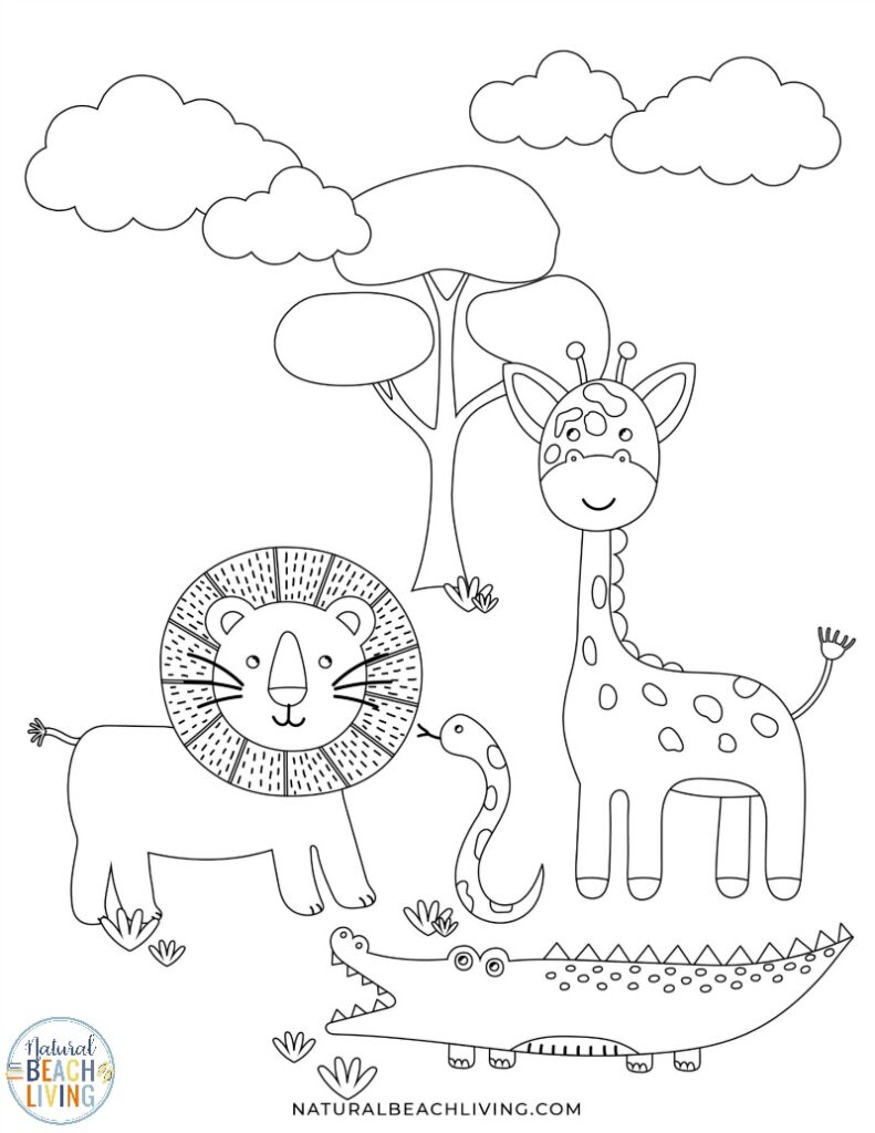 Wild Animals Printables for Preschool and Kindergarten - Natural Beach  Living