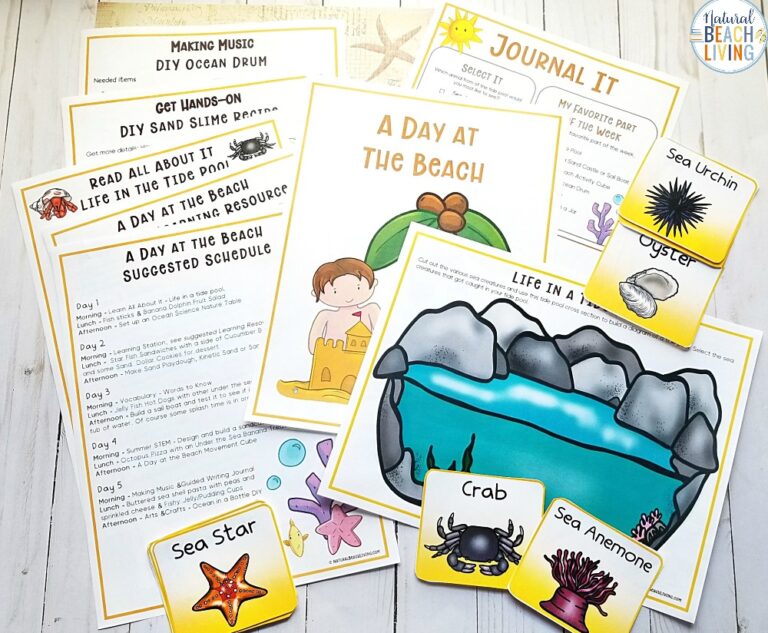 Beach Theme Summer Camp Activities for Kids - Natural Beach Living