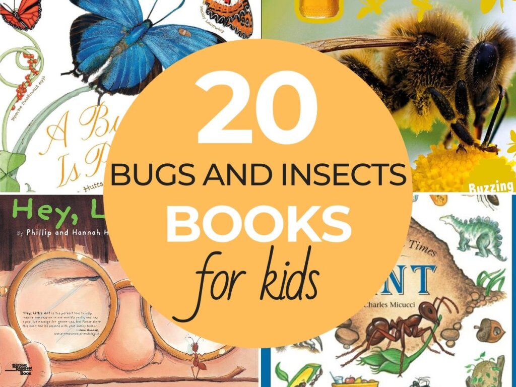 If you are looking for great Bug and Insect books you should check out these! There are insect books for kids that would be great additions to your insect and bugs theme or unit study. They're so much fun and the kids will love them.