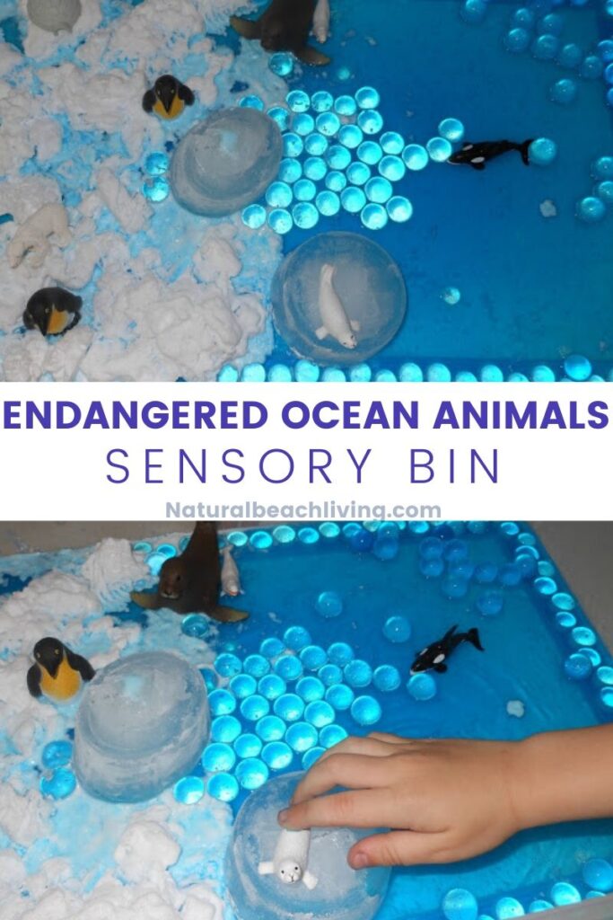 Endangered Ocean Animals Activities with Ocean Animals Sensory play, Ocean Theme Montessori Activity, Great ideas for Teaching the Ocean to kids and global warming, Ocean Science for kids and so much more