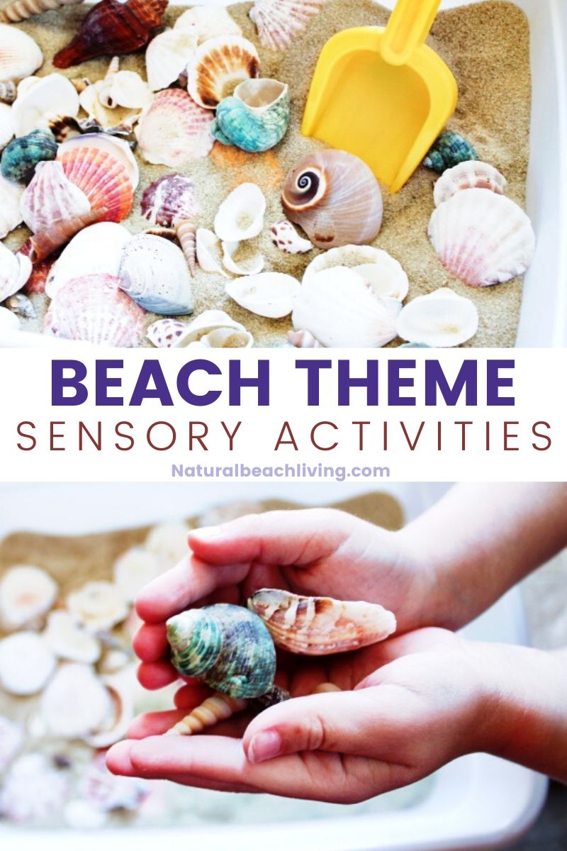 Seashells Sensory Bin – Ocean Theme Preschool