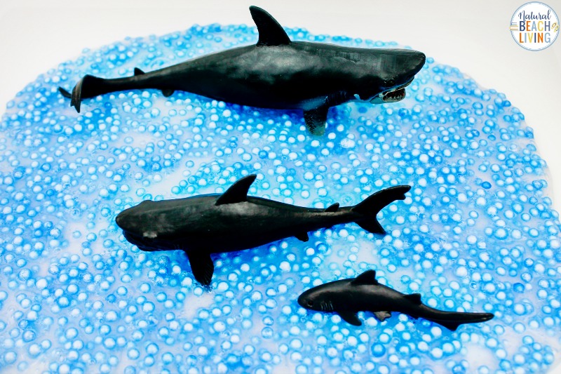 This Shark Slime is a great shark activity for Shark Week! Plus, the texture of this easy slime recipe will have the kids loving it! This clear slime recipe is an easy slime recipe plus every toddler and preschooler loves Baby Shark Activities. 