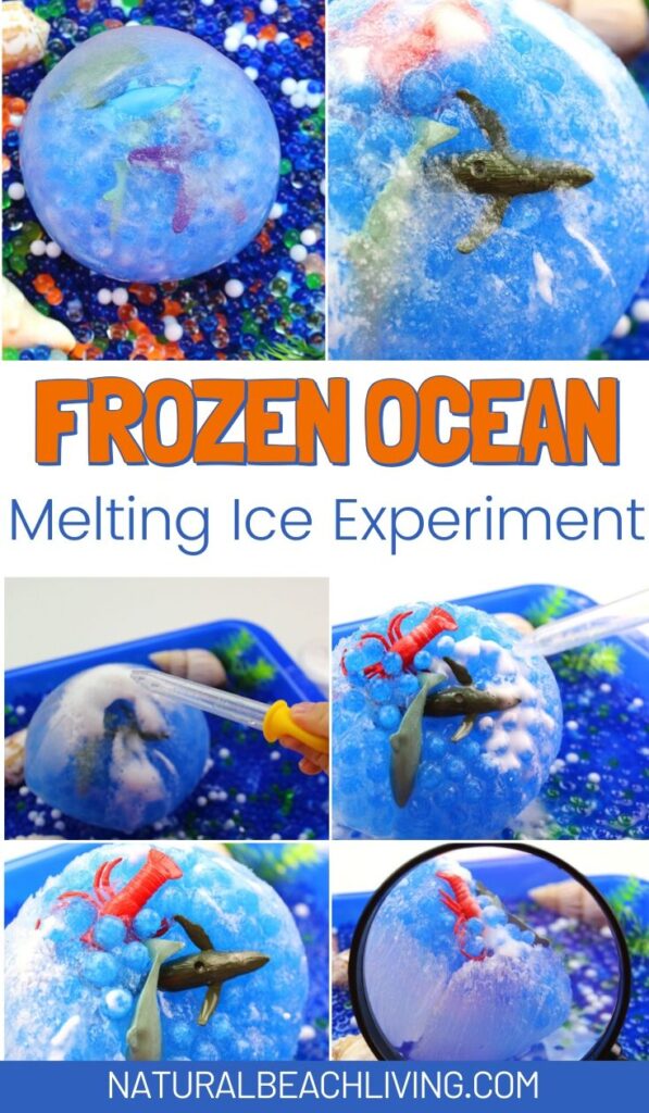 Frozen ocean sensory bin. This fun science sensory bin will keep Kids having a blast exploring the different ways to melt ice as they rescue ocean animals in this frozen ocean sensory bin! Frozen Animal Rescue Kids Activity 