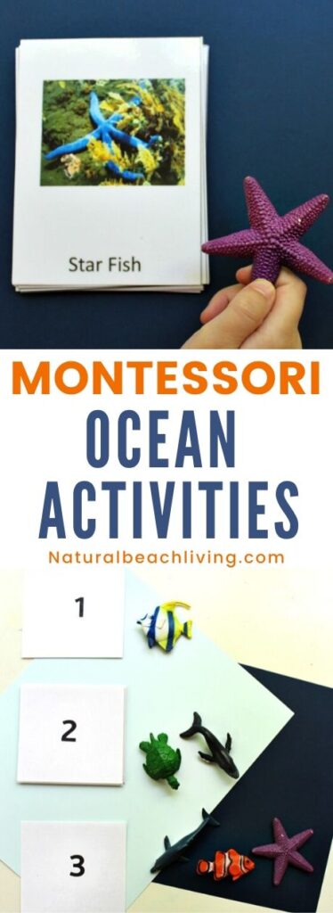 These free ocean printables and Montessori ocean activities are for preschoolers through early elementary. Perfect for homeschooling or for an ocean preschool theme