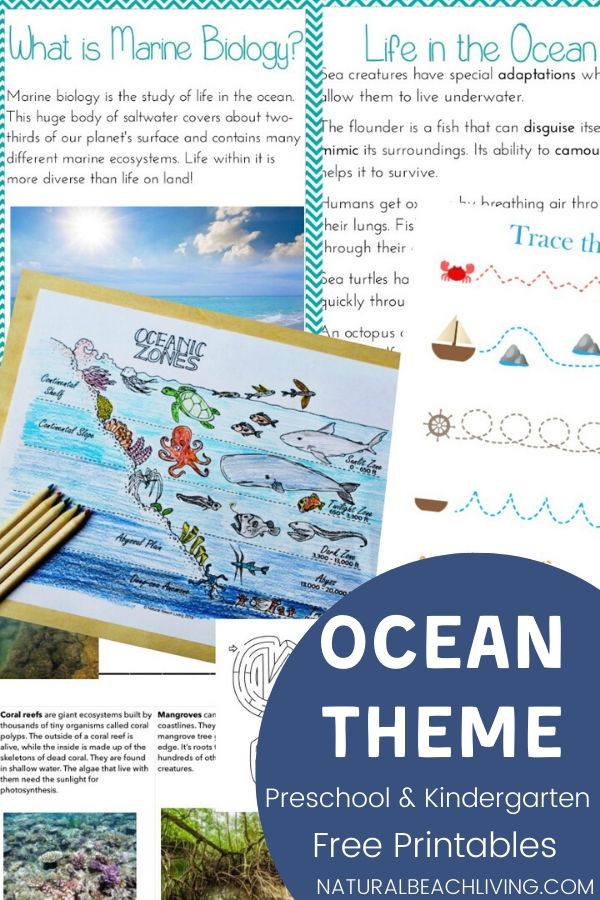 40+ Under The Sea Activities Your Kids will Love, This page is full of under the sea activities for preschoolers, Ocean Slime, Ocean Science Experiments for kids, Ocean Animals Activities, Under the Sea Snack Ideas, Ocean themed Free Printables, Under the Sea Theme ideas, Shark Week Activities for Kids and More