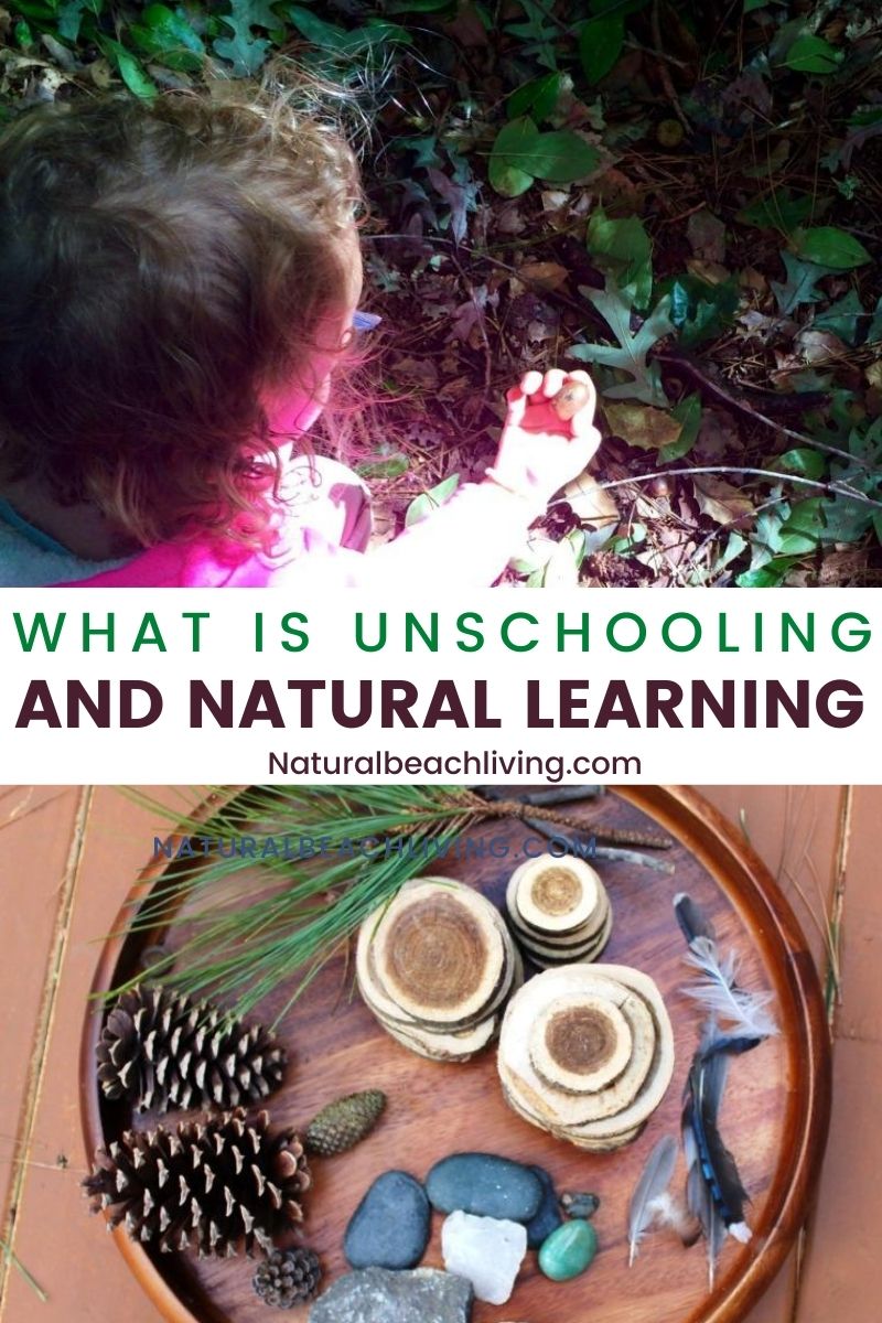 Natural Learning and Exploring in Nature with Kids Art, Plus, learn how to use natural materials, nature study, and natural learning to homeschool in a simple hands on way. exploring nature with toddlers and preschoolers with Nature Crafts, unschooling, Reggio, Charlotte Mason, Montessori, and more. 