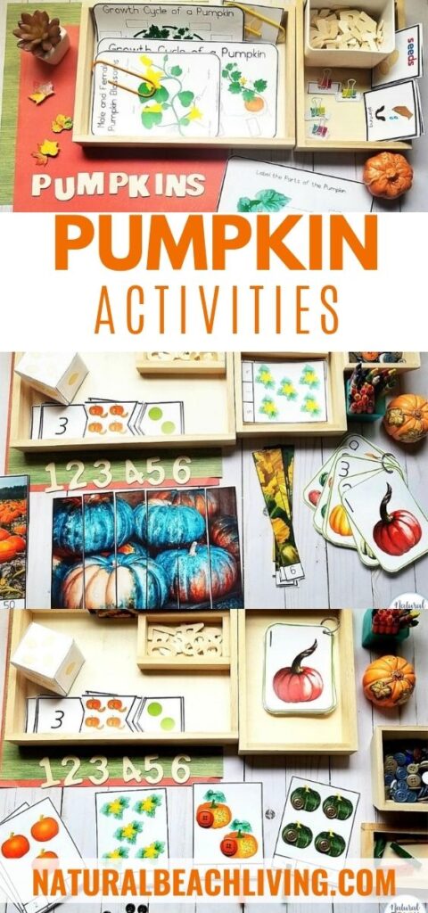 Montessori and Charlotte Mason Pumpkin Activities for Preschool and Kindergarten, Add this All About Pumpkin Unit Study to your Montessori Activities this fall to bring hands on learning to the season. As well as strengthen literacy, fine motor skills, number recognition, math skills, Science Activities, and so much more.