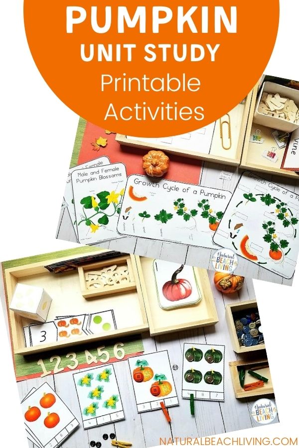 Montessori and Charlotte Mason Pumpkin Activities for Preschool and Kindergarten, Add this All About Pumpkin Unit Study to your Montessori Activities this fall to bring hands on learning to the season. As well as strengthen literacy, fine motor skills, number recognition, math skills, Science Activities, and so much more.