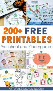The Ultimate List of Free Preschool Printables