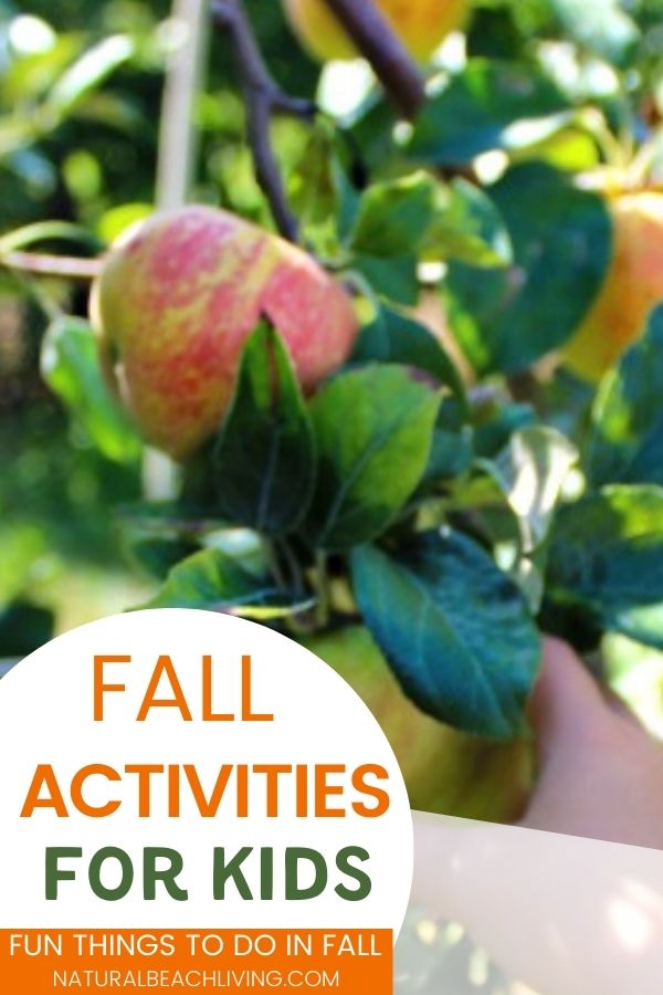 Fall Activities for Preschoolers and kids of all ages. Find Over 50 Fun Fall Activities with a Printable to Add hands on activities to your Preschool Themes that include pumpkins, thankful, trees, leaves, fall science, birds, apples, spiders, farm activities and so much more. Autumn activities and Fall Art and Crafts for Kids
