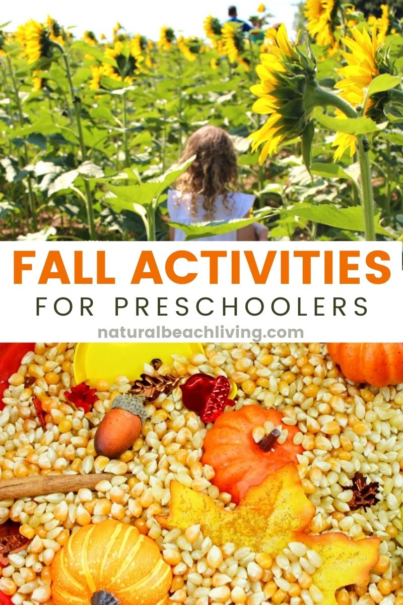 50+ Fall Activities for Preschoolers – Fun Fall Activities
