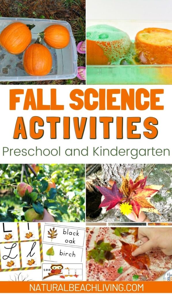 Fall Activities for Preschoolers and kids of all ages. Find Over 50 Fun Fall Activities with a Printable to Add hands on activities to your Preschool Themes that include pumpkins, thankful, trees, leaves, fall science, birds, apples, spiders, farm activities and so much more. Autumn activities and Fall Art and Crafts for Kids