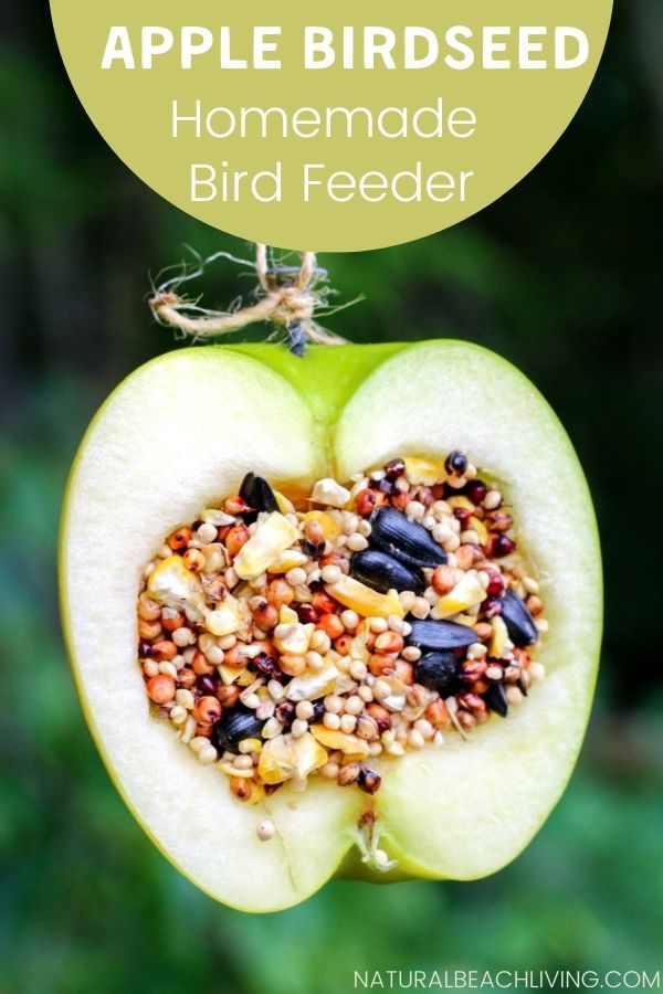These APPLE BIRDSEED BIRD FEEDERS ARE THE BEST! You can Invite the birds to your yard with these Easy bird feeders. DIY bird feeders are a great family craft and a fun way to learn about nature. Adding in apples for fall is an extra bonus. 