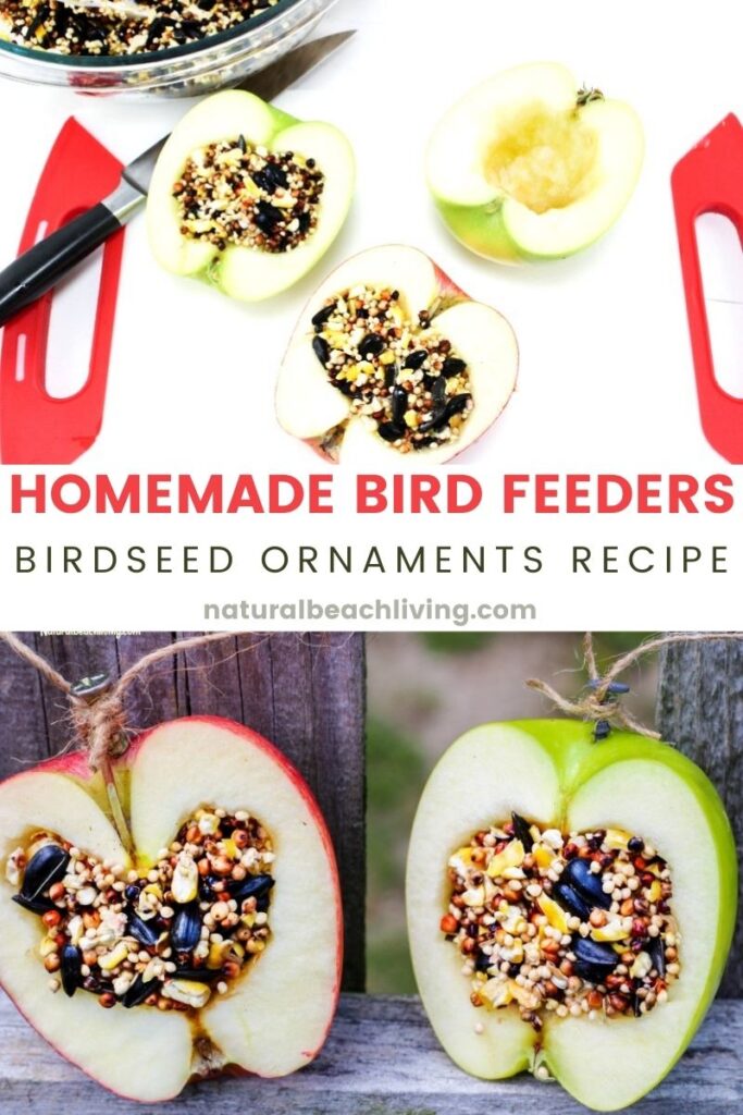 These APPLE BIRDSEED BIRD FEEDERS ARE THE BEST! You can Invite the birds to your yard with these Easy bird feeders. DIY bird feeders are a great family craft and a fun way to learn about nature. Adding in apples for fall is an extra bonus. 