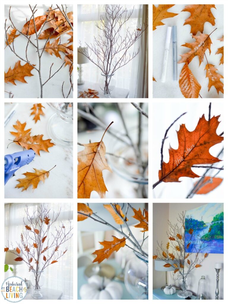 THE BEST DIY THANKFUL TREE! A Thankful Tree for your home or classroom. Thankful trees are a creative way to spend time cultivating gratitude with your family this holiday season. See How to make a thankful tree and Gratitude tree. This Fall Thankful Craft makes the Perfect Fall Decor and Reminder to Give Thanks Everyday.  