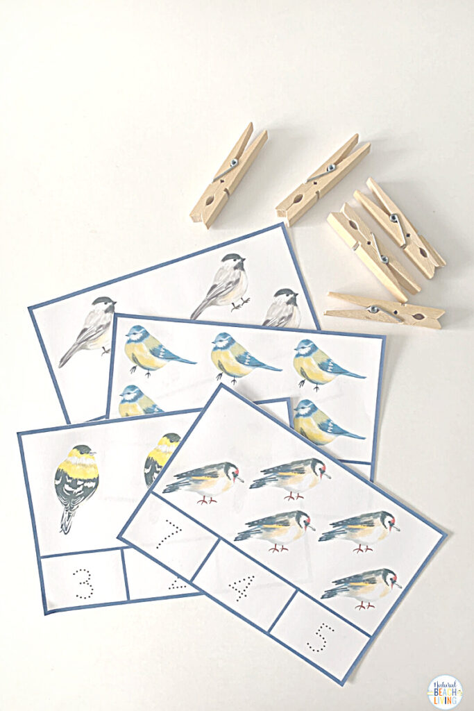 These bird activities are sure to keep the kids having fun this winter. There are so many printables and activities for a bird unit! Montessori Winter Bird Activities and Bird Theme for Preschool and Kindergarten that include Math, crafts, literacy, fine motor, science, movement activities, writing prompts, and so much more.