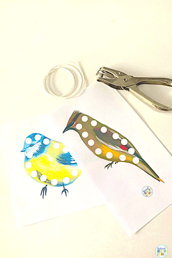 These bird activities are sure to keep the kids having fun this winter. There are so many printables and activities for a bird unit! Montessori Winter Bird Activities and Bird Theme for Preschool and Kindergarten that include Math, crafts, literacy, fine motor, science, movement activities, writing prompts, and so much more.