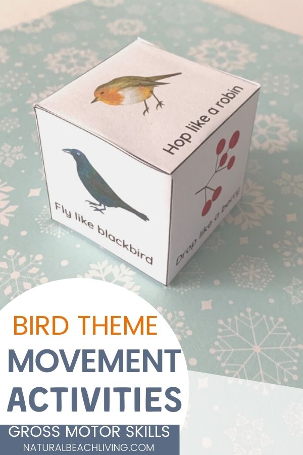 These bird activities are sure to keep the kids having fun this winter. There are so many printables and activities for a bird unit! Montessori Winter Bird Activities and Bird Theme for Preschool and Kindergarten that include Math, crafts, literacy, fine motor, science, movement activities, writing prompts, and so much more.